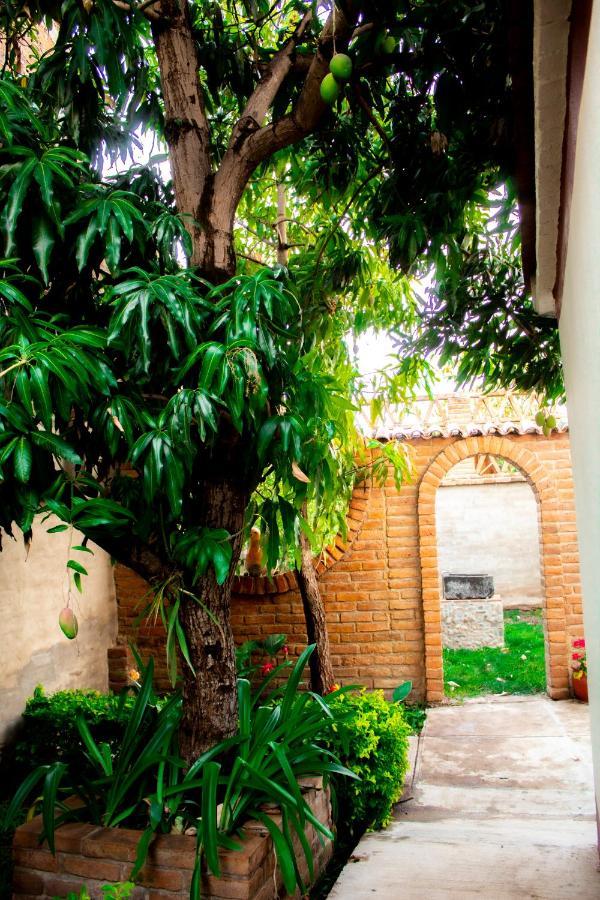 Villa Flores, Casa En El Centro De Mascota Exterior photo